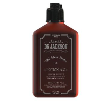 Shampoing Potion 4.0 Cheveux Gras