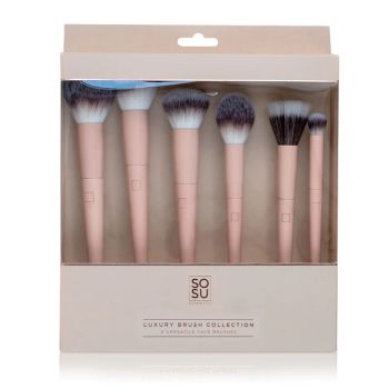 Luxury Brush Collection Pinceaux pour le Visage