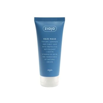 Masque Antioxydant pour Cheveux Abîmés