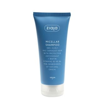 Shampoing Micellaire Antioxydant pour Cheveux Abîmés