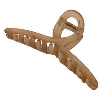 Pince nœud marron transparente