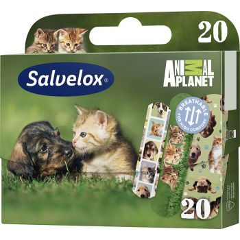 Pansement Adhésif Animal Planet
