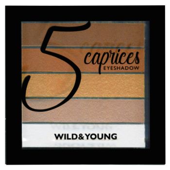 Palette 5 Ombres en Bandes