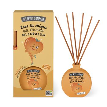 Diffuseur Mikado Pêche