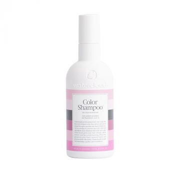 Shampoing Protecteur de Couleur