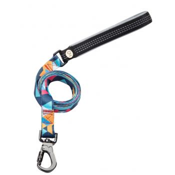 Laisse Color Block Bleu