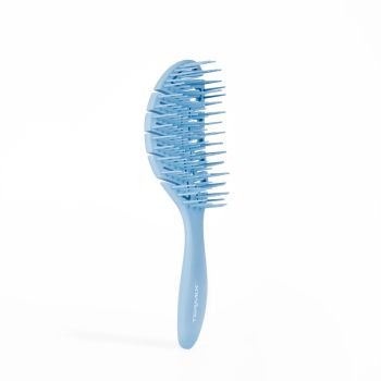Spazzola Professionale Districante 