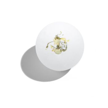Spring Time Bomb Bombe de Bain