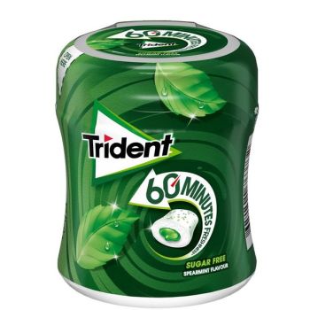 60 Minutes Freshness Boîte de Chewing-gums à la Menthe Verte