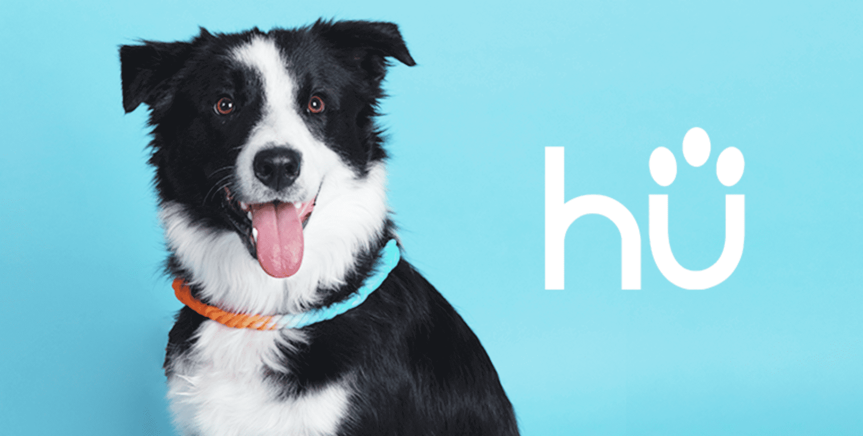 HÜ