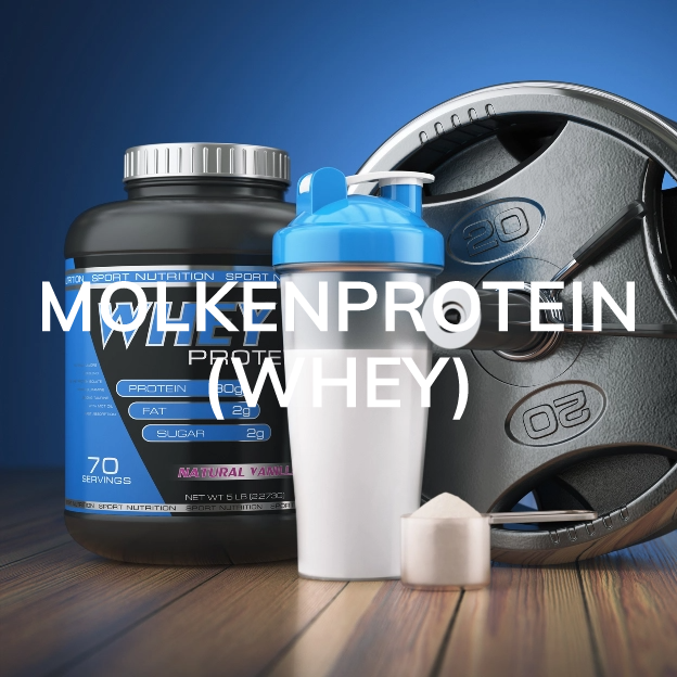 MOLKENPROTEIN (WHEY)